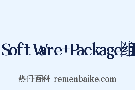 SoftWare+Package组词是什么意思的图片